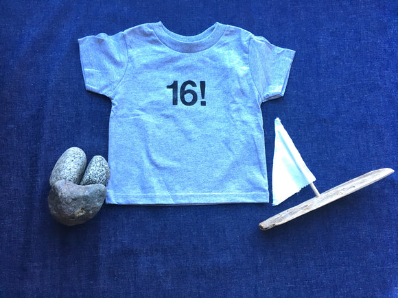 16! Kids T-Shirt
